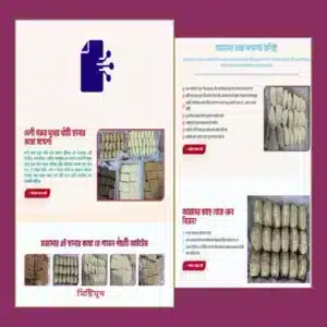 Sondesh Landing Page