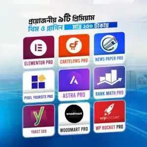 premium theme plugin